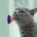 Cat Snacks Catnip Sugar Candy Licking Nutrition Gel Energy Ball (Salmon) Newly