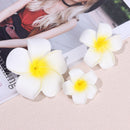 Accessories Women Girl Beach Seaside Hair Clip White Plumeria Hairpin Flower