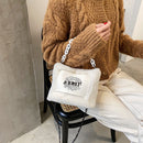 Fashion Rabbit Fur Chain Messenger Bag Women Fleece Shoulder Handbag (1)