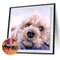 DIY Diamond Painting Kit Pet Dog Puppy 5D Full Round Rhinestone Art Picture