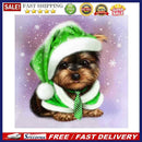 5D Diamond Painting Dog in Green Hat Full Round Drill DIY Wall Art Crafts M