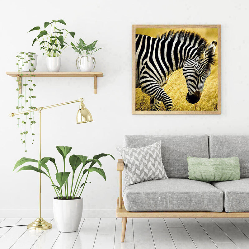 5D DIY Full Drill Diamond Painting Walking Zebra Embroidery Craft Needlework Set