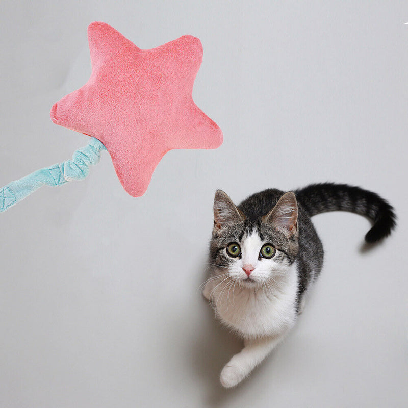 Squeak Chew Bite Dog Soft Plush Five-pointed Star Cat BB Sound Toys Pet Products