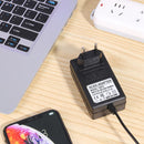 16.8V 1A 18650 Lithium Battery Charger DC5.5mm Power Adapter Charger (EU)
