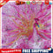 5D DIY Special Shaped Diamond Painting Pink Peafowl Cross Stitch Embroidery