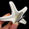 Elegant Beach Girls Lady Hairpin Star Sea Starfish Hair Clip Jewelry For 2 Pcs