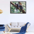 5D DIY Diamond Painting Black Bear Full Round Drill Wall Home Decoration Cr