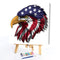 Hand Painted on Canvas DIY Flag Eagle Oil Paint By Numbers Drawing Kit Ornaments