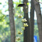 Solar Power Wind Chime Lamps Honey Bee Outdoor Hanging Light Home Garden Decor