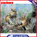 DIY Oil Paint by Numbers Squirrel Hand Painted Acrylic Coloring Picture Gift