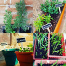 20pcs Mini DIY Plant Pot Blackboard Garden Kitchen Yard Labels Flower Z5F8