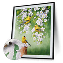 Bird on Branch Oil Paint By Numbers Kit DIY Acrylic Painting on Canvas Framel