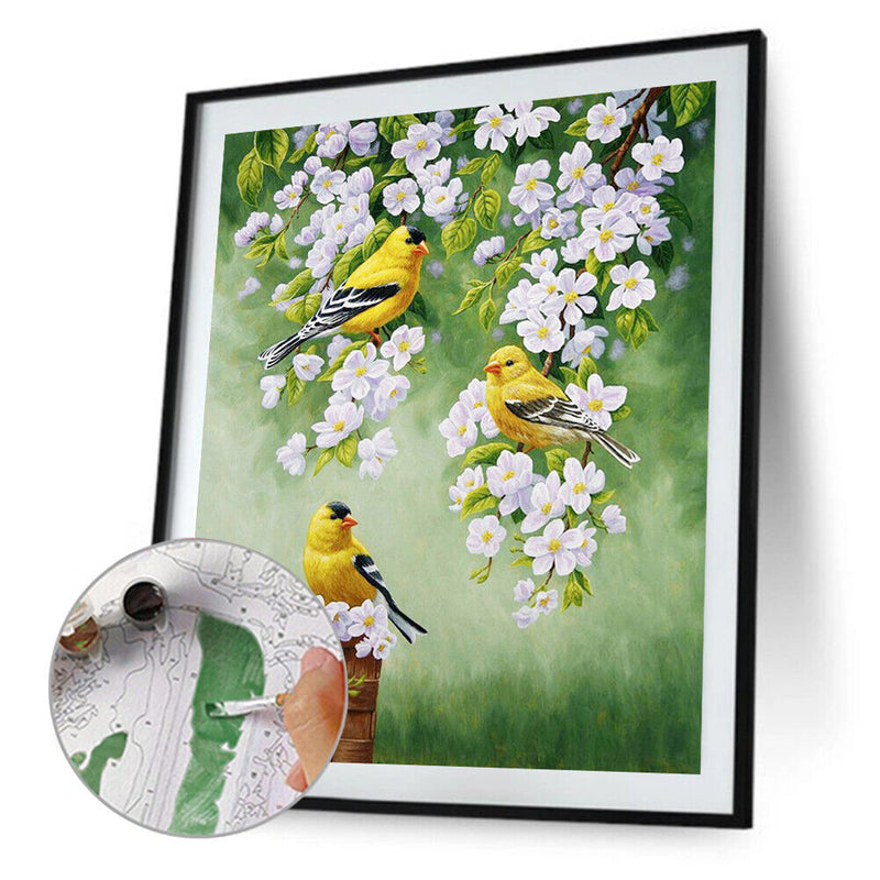 Bird on Branch Oil Paint By Numbers Kit DIY Acrylic Painting on Canvas Framel