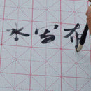 Cloth Chinese Practice Calligraphy Brush Water Writing Painting E7N4