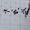 Cloth Chinese Practice Calligraphy Brush Water Writing Painting E7N4