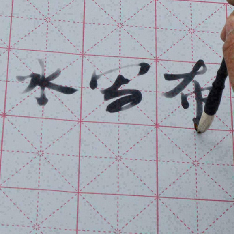Cloth Chinese Practice Calligraphy Brush Water Writing Painting E7N4