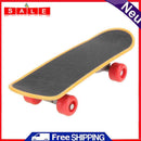 Everpert Pet Bird Toys Acrylic Metal Parrot Chewing Bite Toys Durable Birds Glock