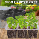 10pcs Seed Starter Tray Kit Garden Nursery Seedling Germination Box (Black)