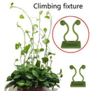 10x Invisible Plants Climbing Wall Sticky Hooks/Vines Clips Fixing Fixture G4T9