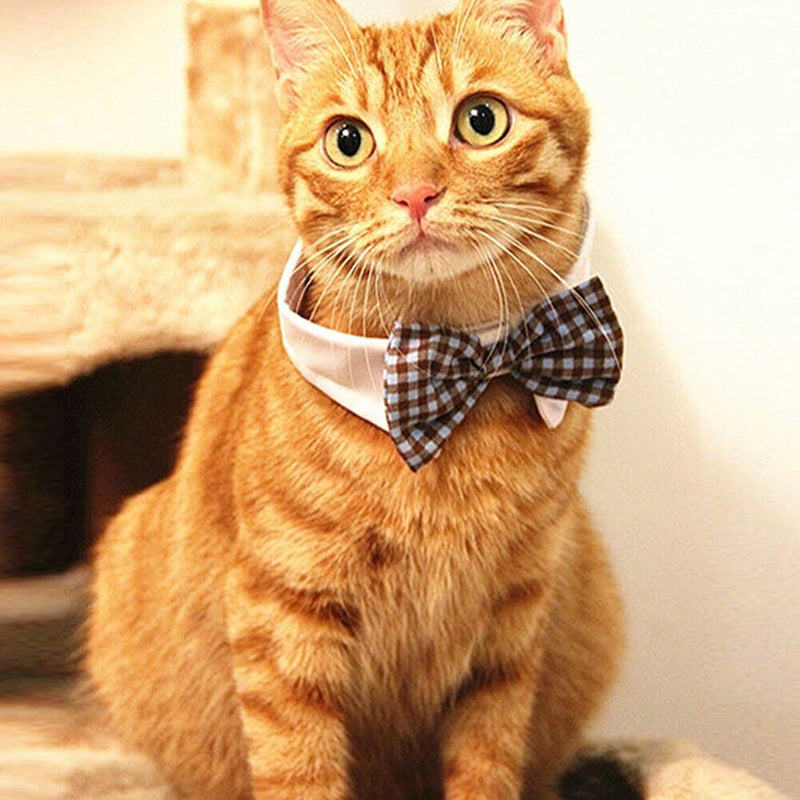 Pet Dog Cat Lattice Bow Tie Necklace Adjustable Strap Puppy Kitten Necklace Necklace