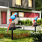 LED Solar Lights Parrot Waterproof Lawn Stakes Lamps Garden Decor (Blue) Newly