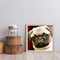 Canvas Painted Oil Paint By Numbers Dog Animal DIY Wall Art Modern Bedroom Decor