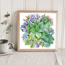 5D DIY Diamond Painting Kits Full Square Drill Succulents Mosaic Wall Picture
