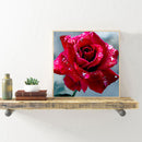 DIY Roses Diamond Painting Cross Stitch Embroidery Mosaic Kit Room Decor