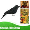 Halloween Black Feathered Crows Realistic Black Birds Ravens Props.