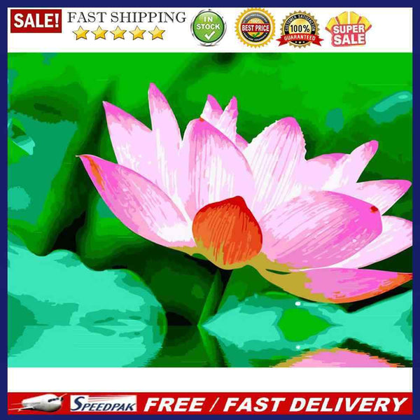 DIY Digital Painting By Numbers Lotus Canvas Picture Modern Flower Wall Art Gift