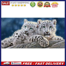 Two White Tigers Oil Paint By Numbers Kits DIY Craft Coloring Drawing Home