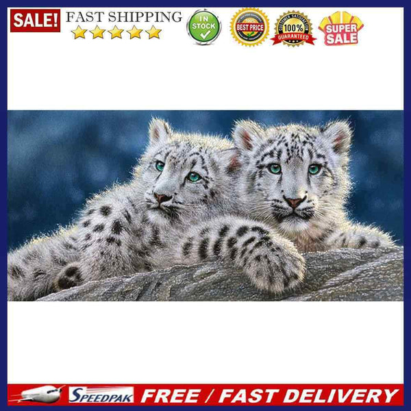 Two White Tigers Oil Paint By Numbers Kits DIY Craft Coloring Drawing Home