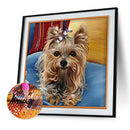 5D DIY Diamond Painting Dog Cross Stitch Embroidery Wall Art Needlework Kit
