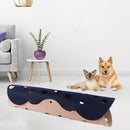 #A Multifunctional DIY Design Drilling Holes Training Improve Intelligence Cat T