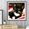 Diamond Painting Long Whisker Black Cat Full Round Wall Picture Kit 30x30cm #F