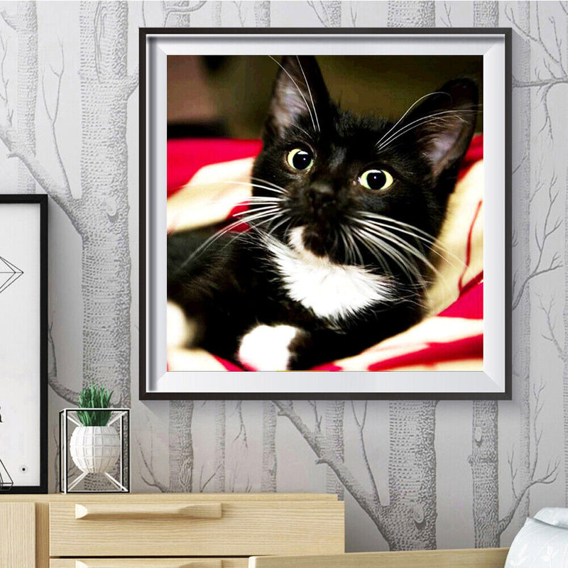 Diamond Painting Long Whisker Black Cat Full Round Wall Picture Kit 30x30cm