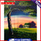 DIY Hand Painted Paint By Numbers Oil Canvas Pictures Evening Cabin Ornament Kit