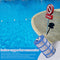 Solar Copper Anode Swimming Pool Ionizer Water Purifier Basket Screen Clean