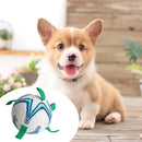Rubber Dog Football Toys Puppy Chewing Pets Interactive Outdoor Paly Balls Newly