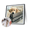 Oil Paint By Numbers Small Animal Frameless Picture Craft Kit for Living Room