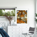 Tiger Animal Digital Painting Hand Painted Coloring By Numbers Decor (S20)