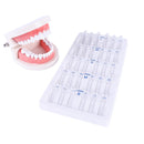 30pcs Dental Veneers Tooth Mould Autoclave Front Teeth Quick Whitening Tools