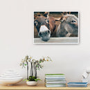5D DIY Smile Donkey Full Round Drill Diamond Painting Art Embroidery Home Decor