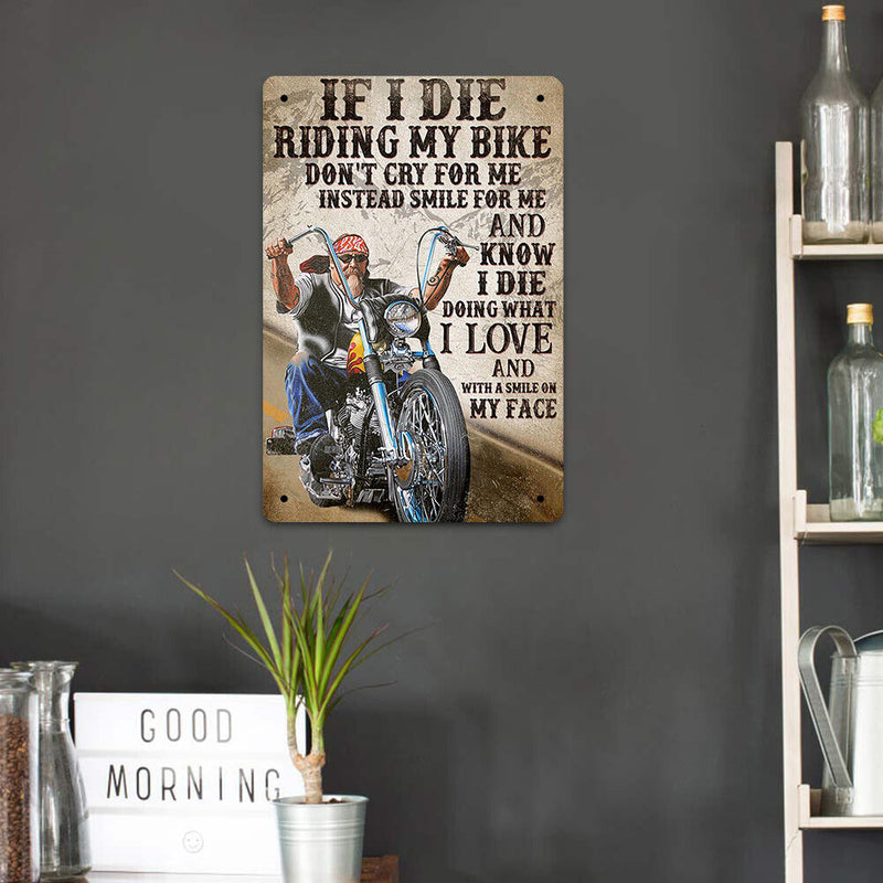 Riding Motorcycle Plate Metal Tin Sign Plate for Bar Pub Decorative Iron Paints