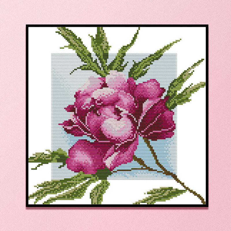 Partial Cross Stitch 14CT Cotton Thread DIY Kapok Printed Embroidery Kits