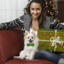 Dog Bow Tie St. Patricks Day Costume Soft Dog Cat Collar with Bow Tie (5) Newly