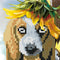 Cute Dog 5D Diamond Painting DIY Embroidery Cross Stitch Home Decor Gifts Newly