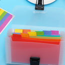 File Case School Plastic Paper Organizer File Folder Document Bag 13 Pockets