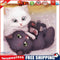 5D Diamond Painting DIY Cute Cats Pictures Kits Full Drill Art Home Decor