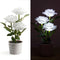 #A 3LED Rose Flower Solar Light Bonsai Flowerpot Garden Indoor Balcony Decor Lam